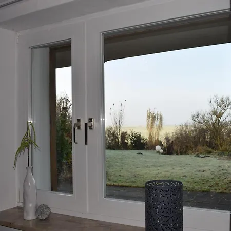 Strandlaeufer * Galmsbull