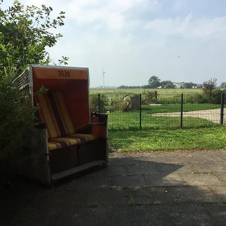 Strandlaeufer Galmsbull