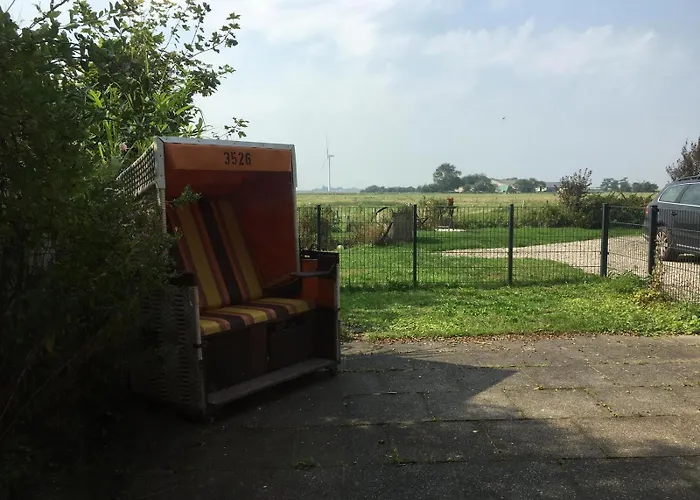 Strandlaeufer Galmsbull